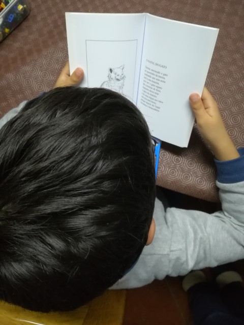 Leituras ECV 24