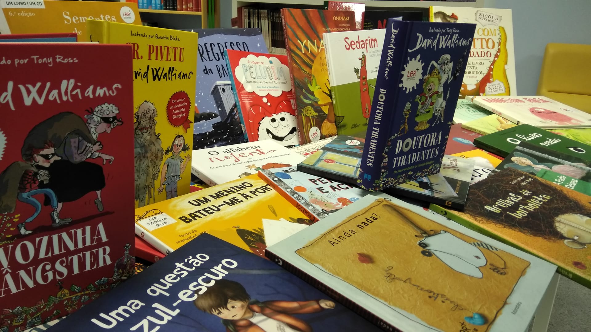 Livros novos ECV 3