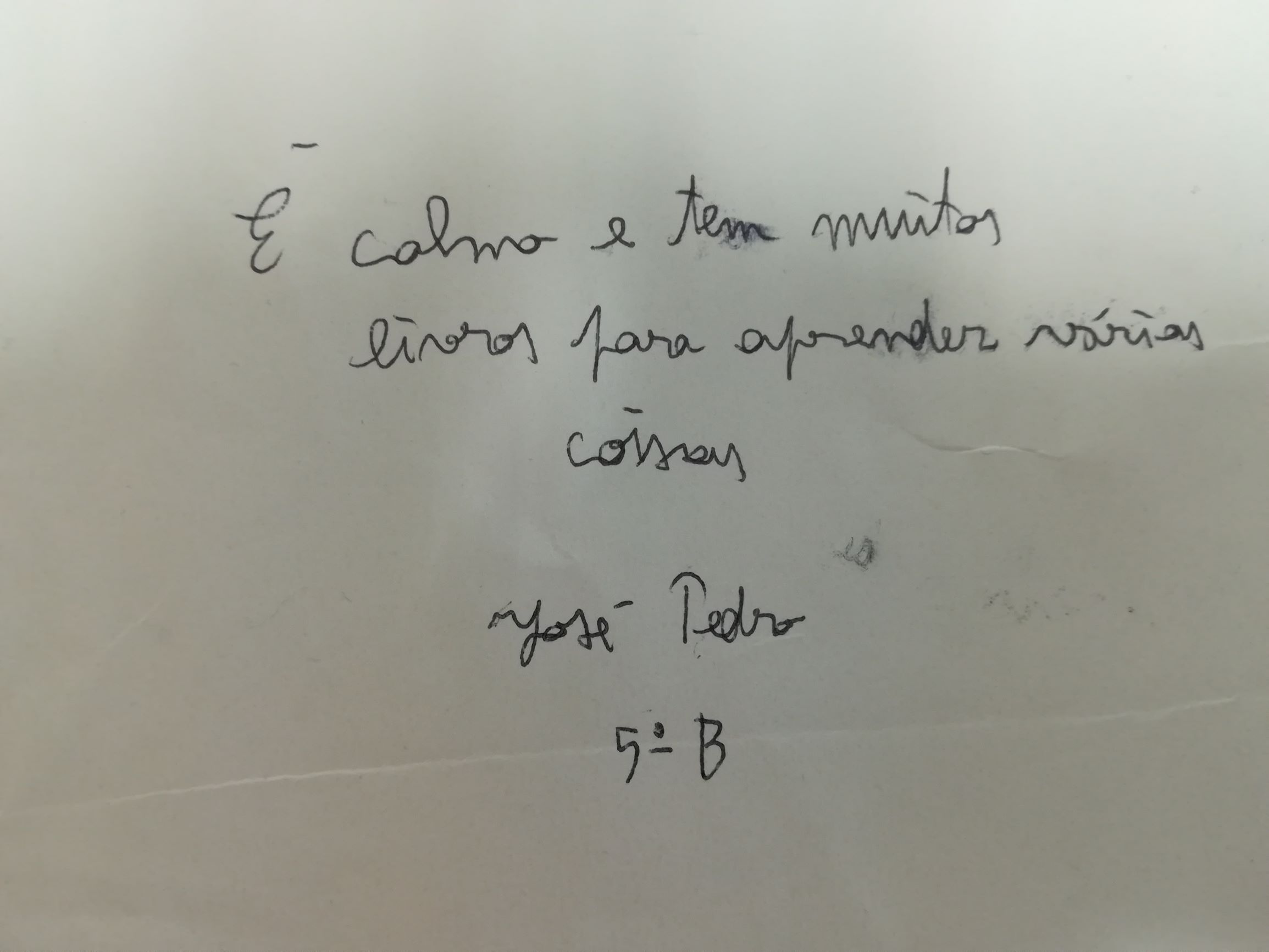 MIBE 3