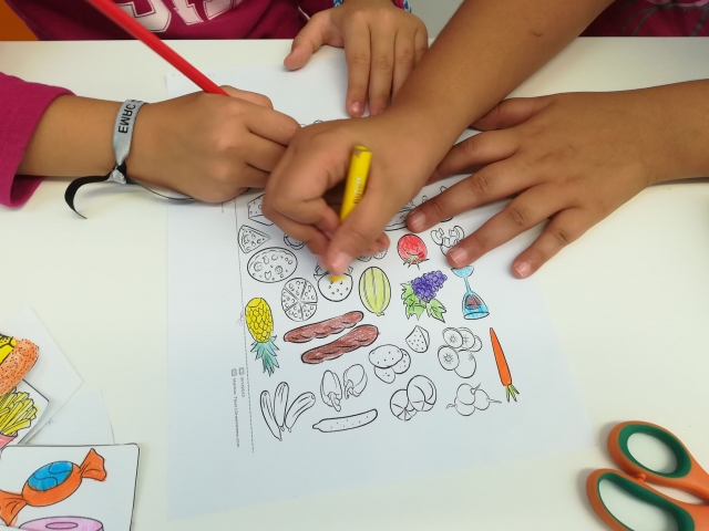 dia alimentação 11