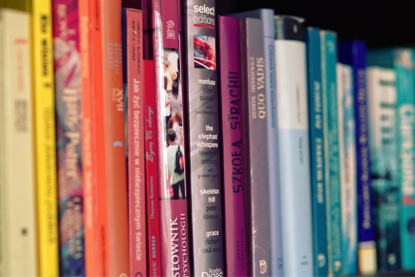 book shelves books colorful 5711